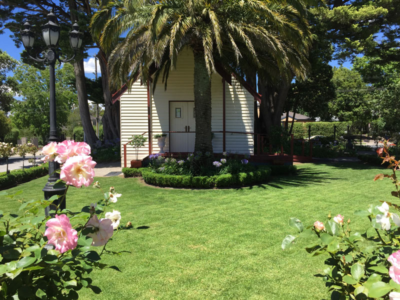 Gallery Abcal Garden Property Maintenance Rose Pruning Five