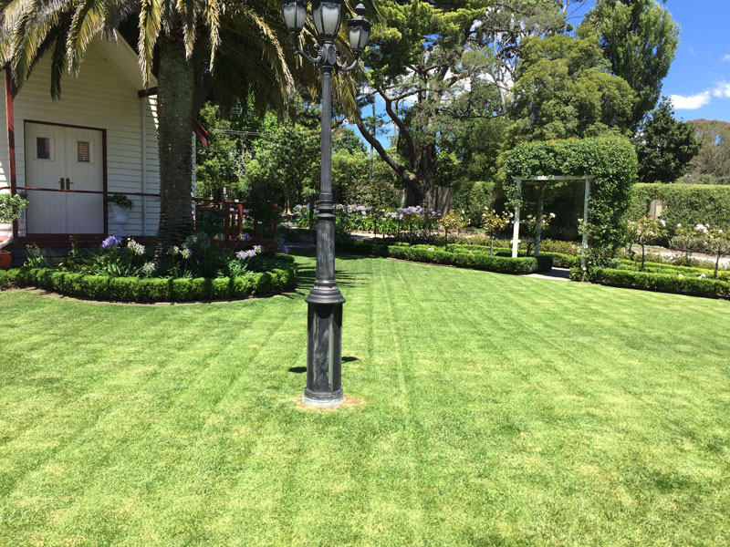 Gallery Abcal Garden Property Maintenance Rose Pruning Six