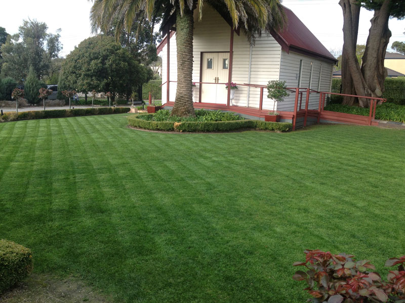 Gallery Abcal Garden Property Maintenance Rose Pruning Three