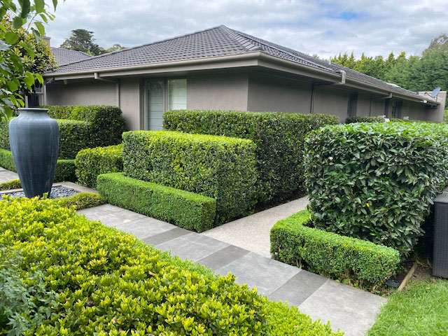 Hedge Trimming