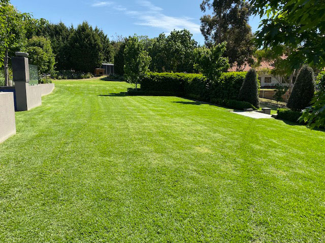 Services Abcal Garden Ride On Mowing Five
