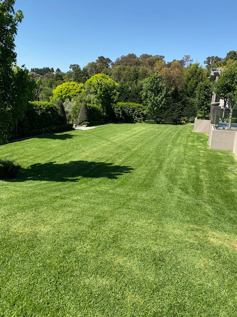 Services Abcal Garden Ride On Mowing Four