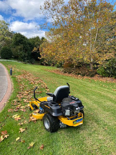 Services Abcal Garden Ride On Mowing Three